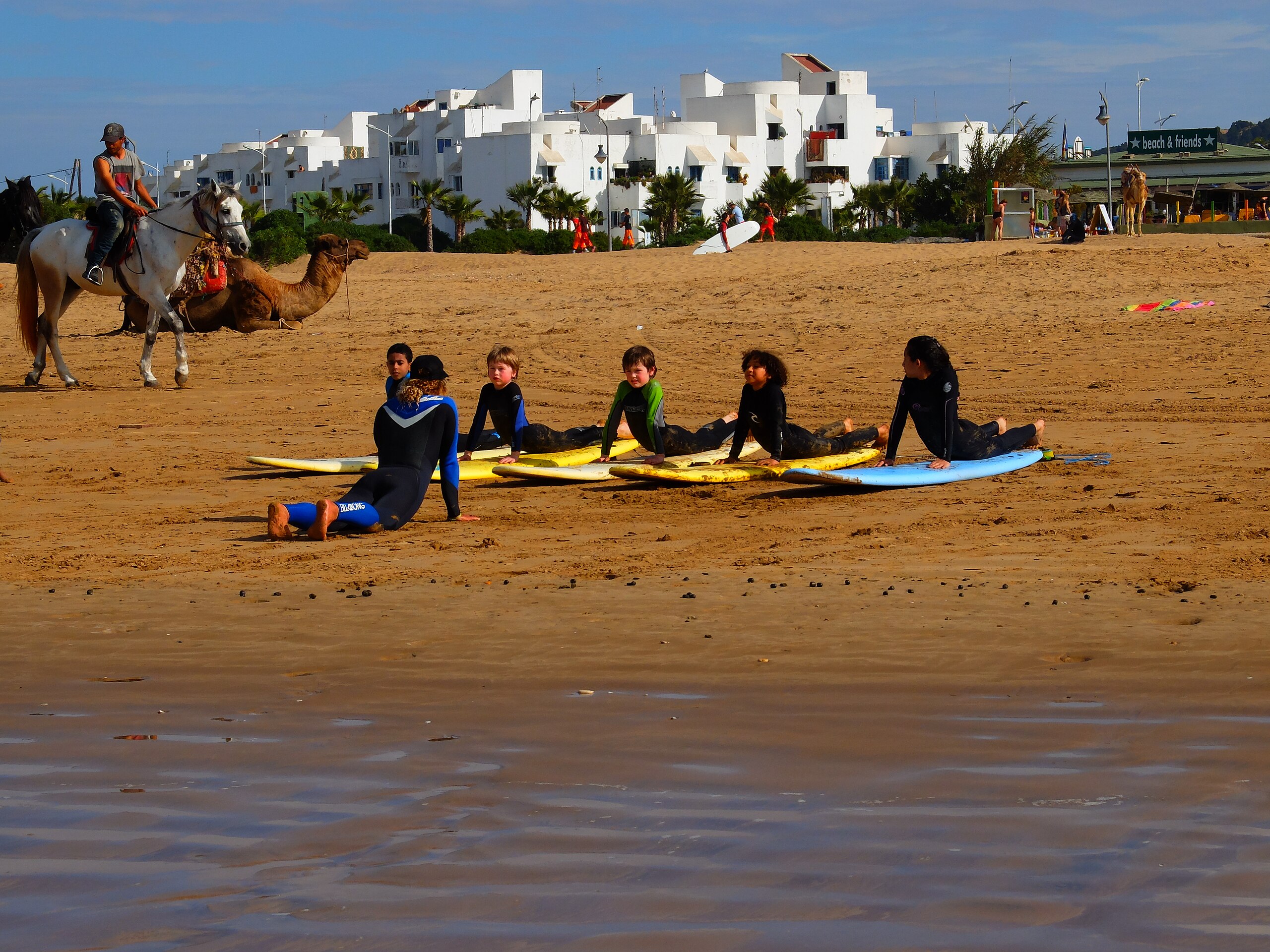 Taghazout Surf Hostel :Children taking a surfing lesson on a Moroccan beach